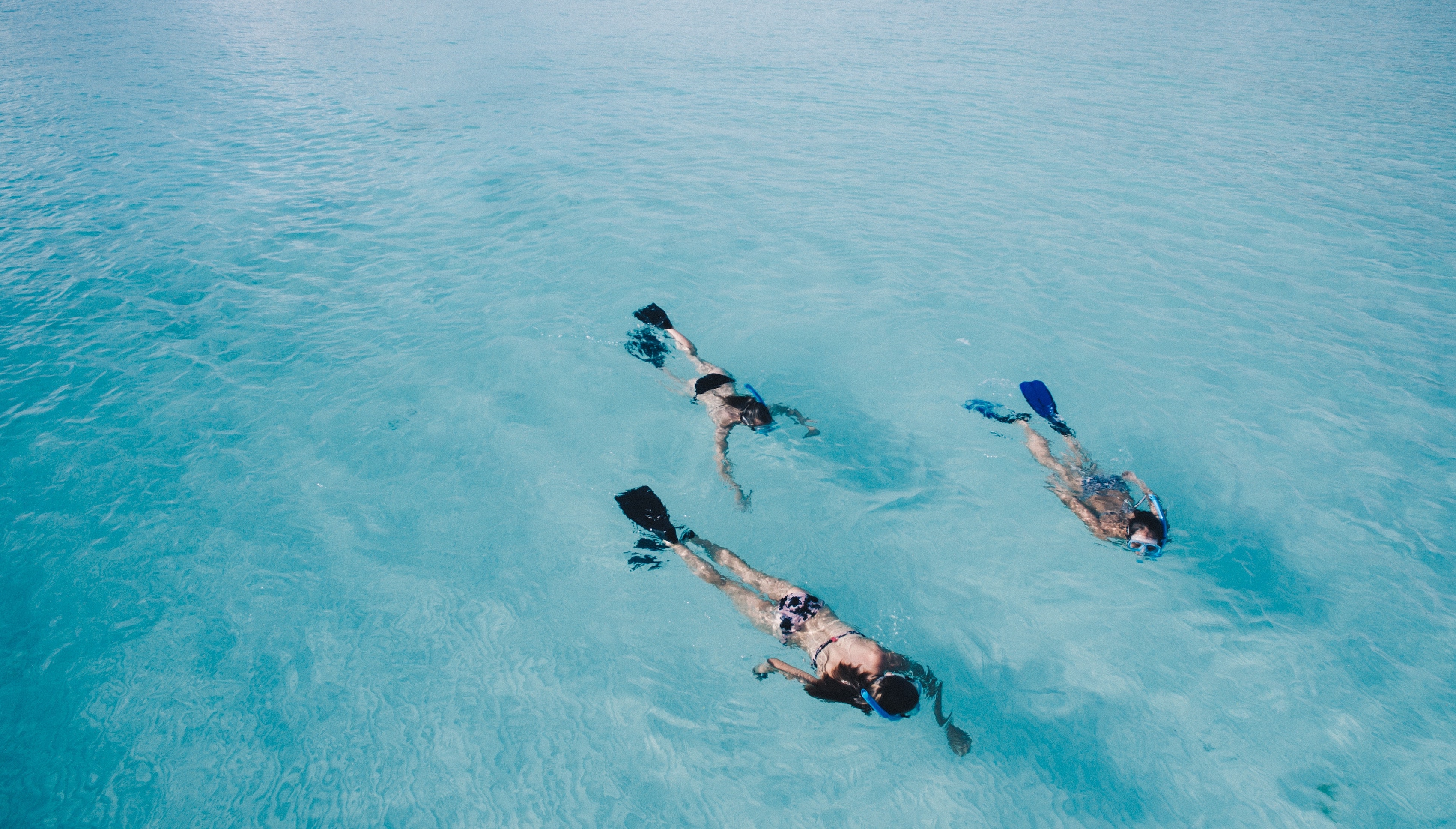 Best snorkeling destinations Back to the Passport