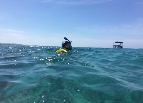 snorkeling in Jamaica
