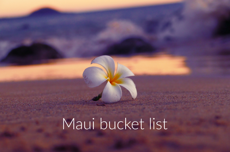 Hawaii flower on the beach