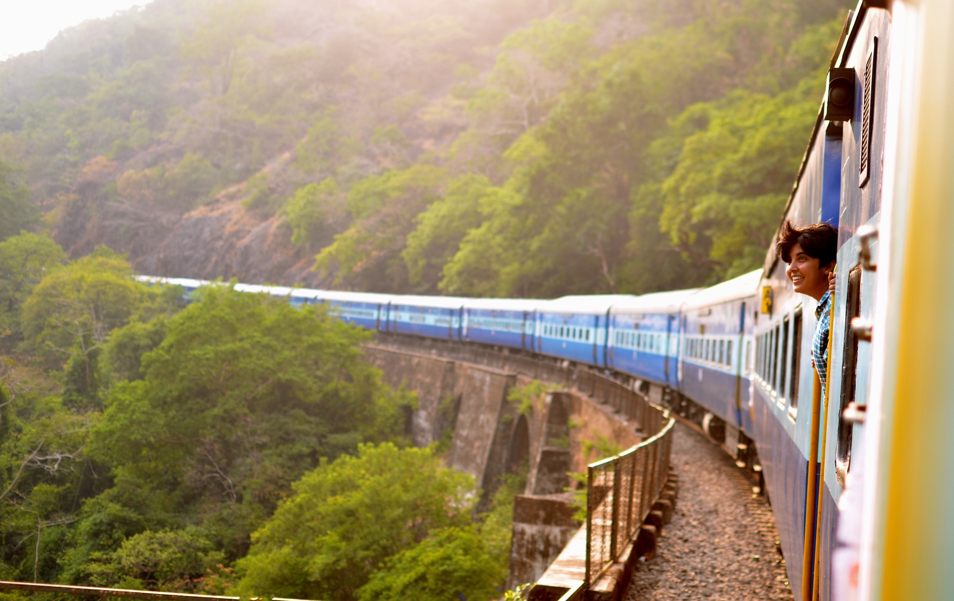 Train going through the forest