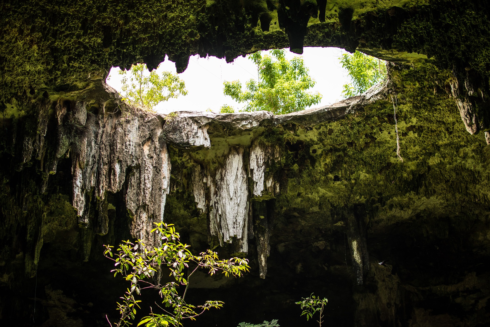 Cenote in Mexico