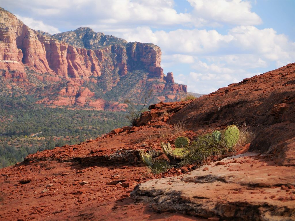 Arizona red rocks