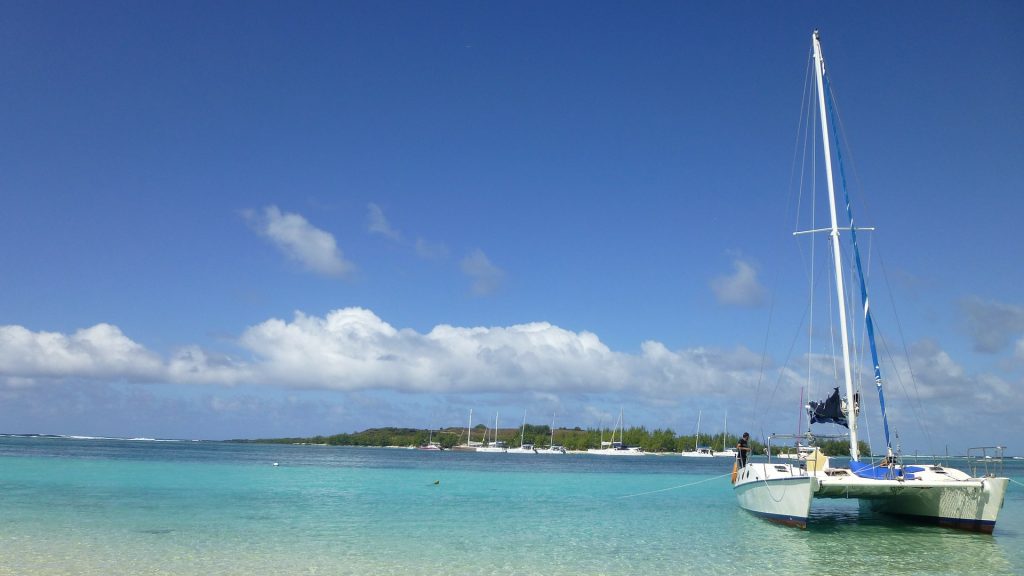 Catamaran in the water