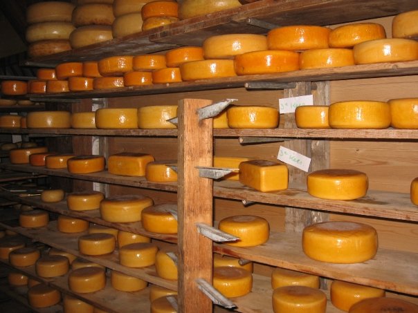 Cheese in Amsterdam