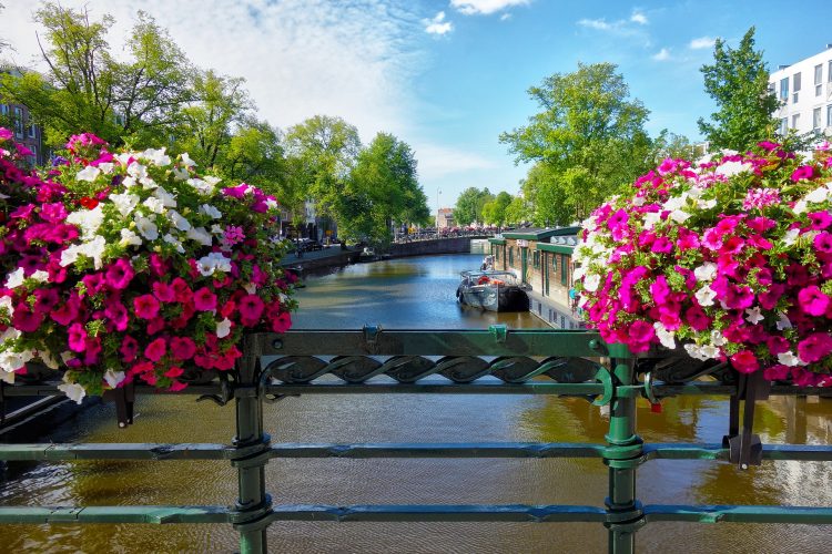 Amsterdam canal with flowers