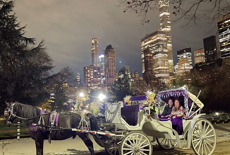 Carriage ride in Central Park