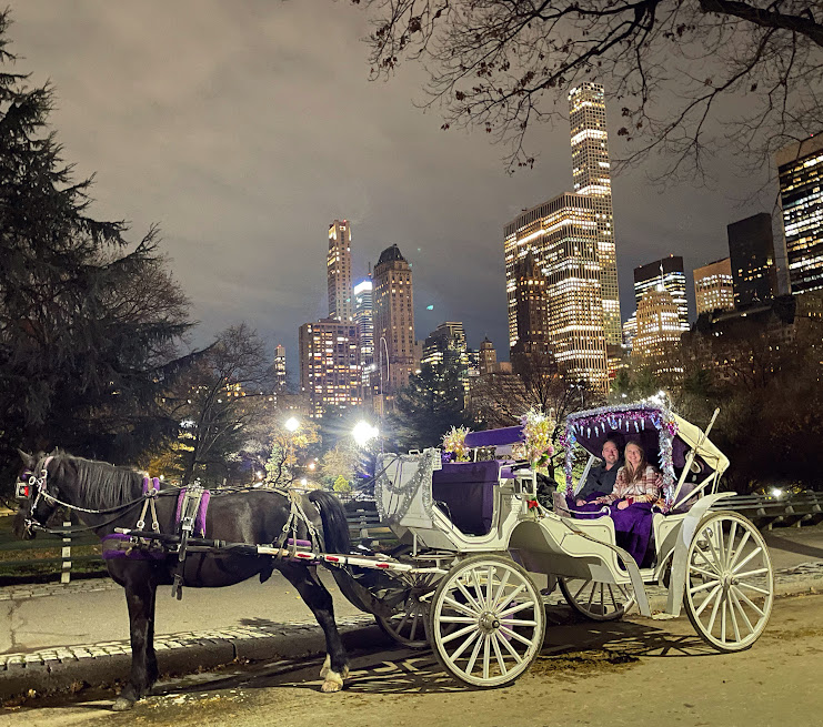 Horse and carriage in Central Park